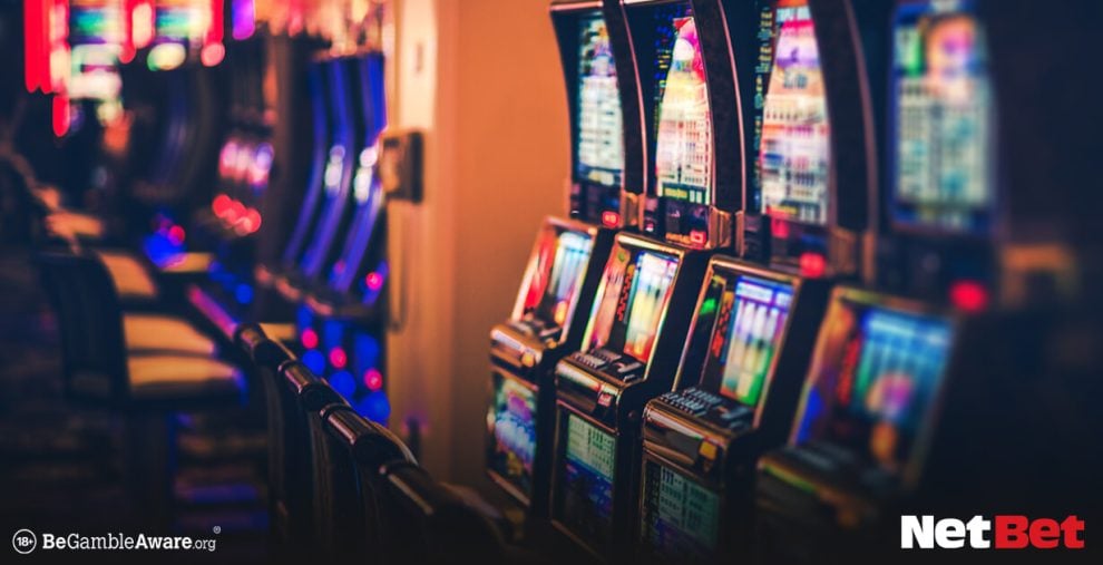 acqbet|Bingo Online com Cashback Diário – Participe ao Vivo